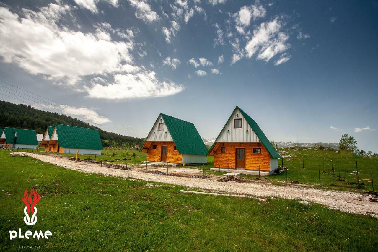 Family Houses Pleme Zabljak  Luaran gambar